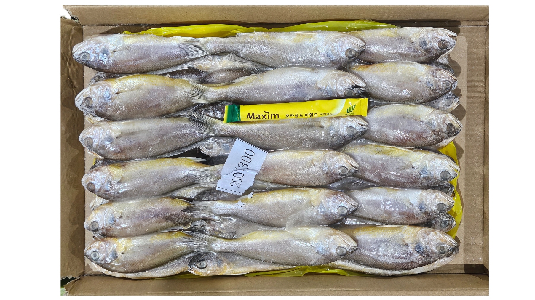 참조기 (봉화) 40/42미