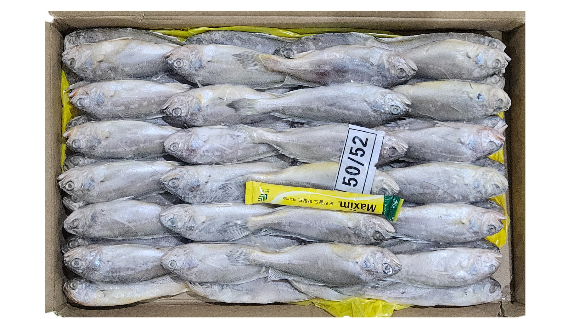 참조기 (봉화) 50/52미