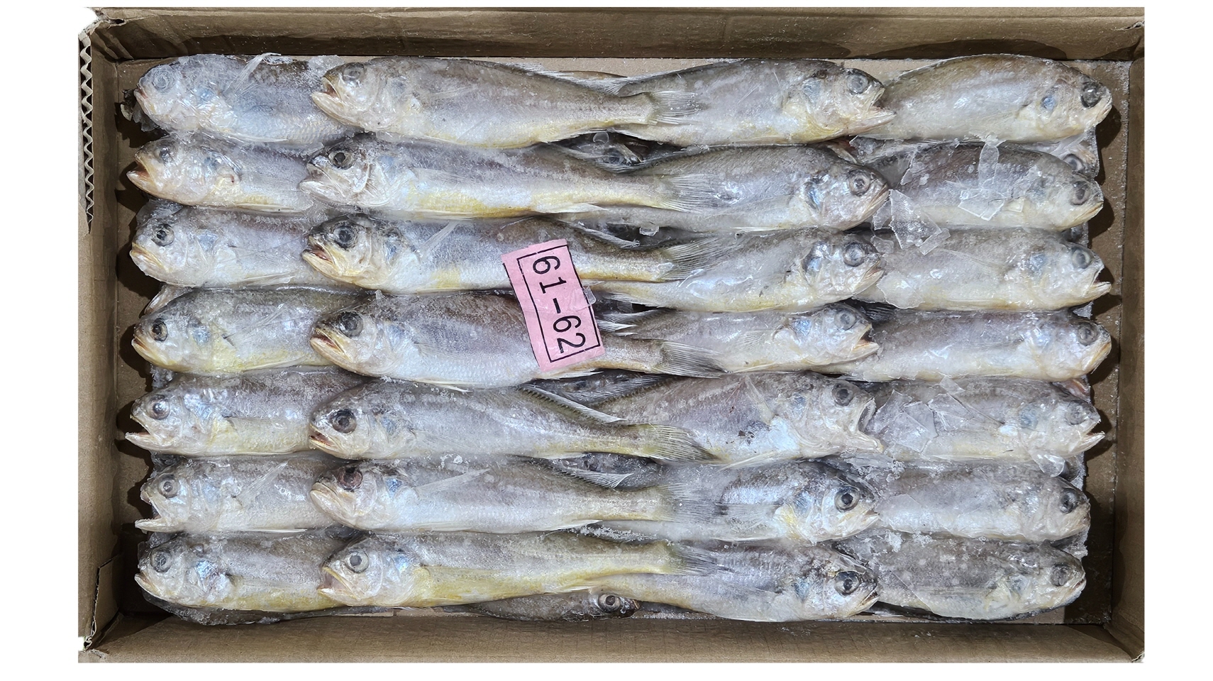 참조기 (봉화) 61/63미