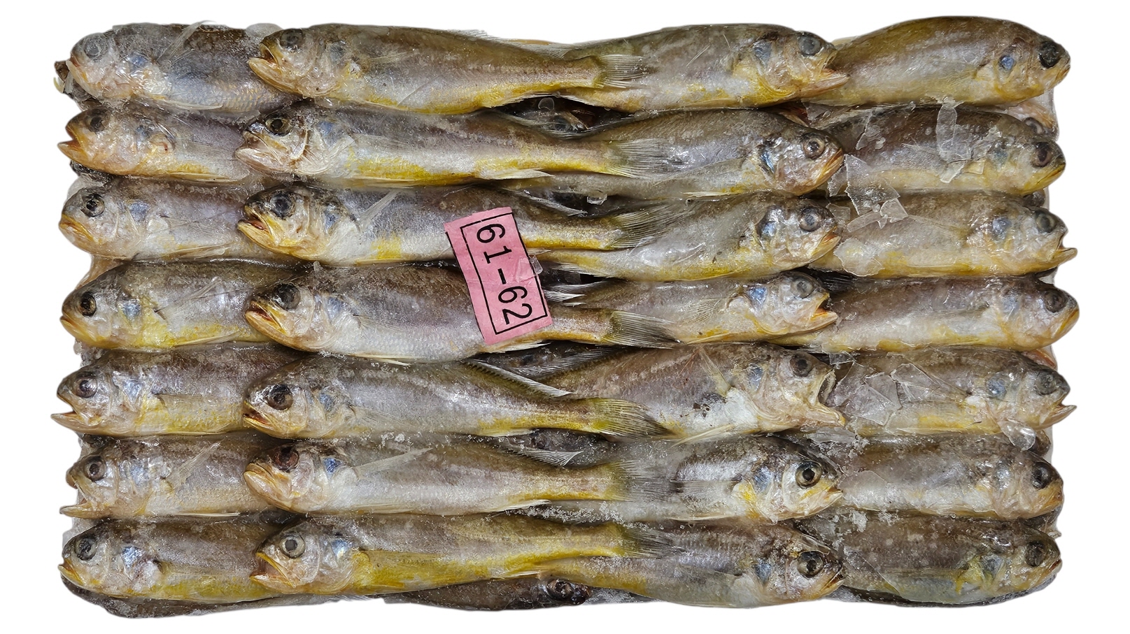 참조기 (봉화) 61/63미