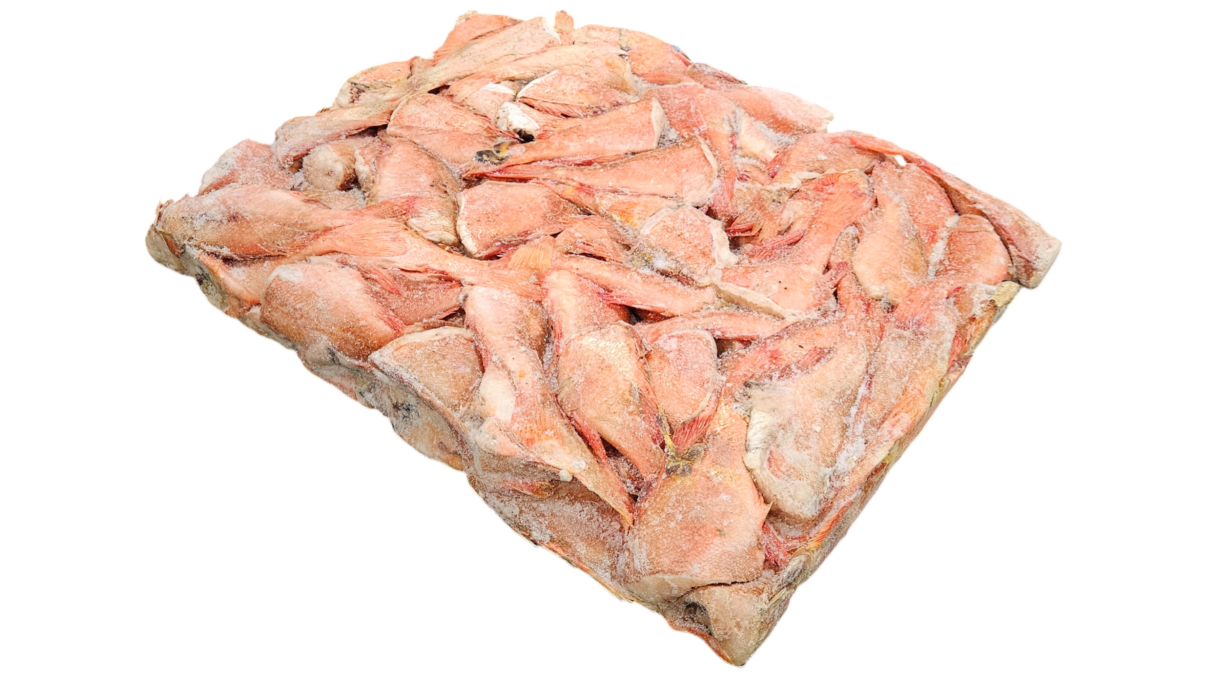 두절 적어 3S(열기, 장문뽈락) 80/100 , 포르투갈