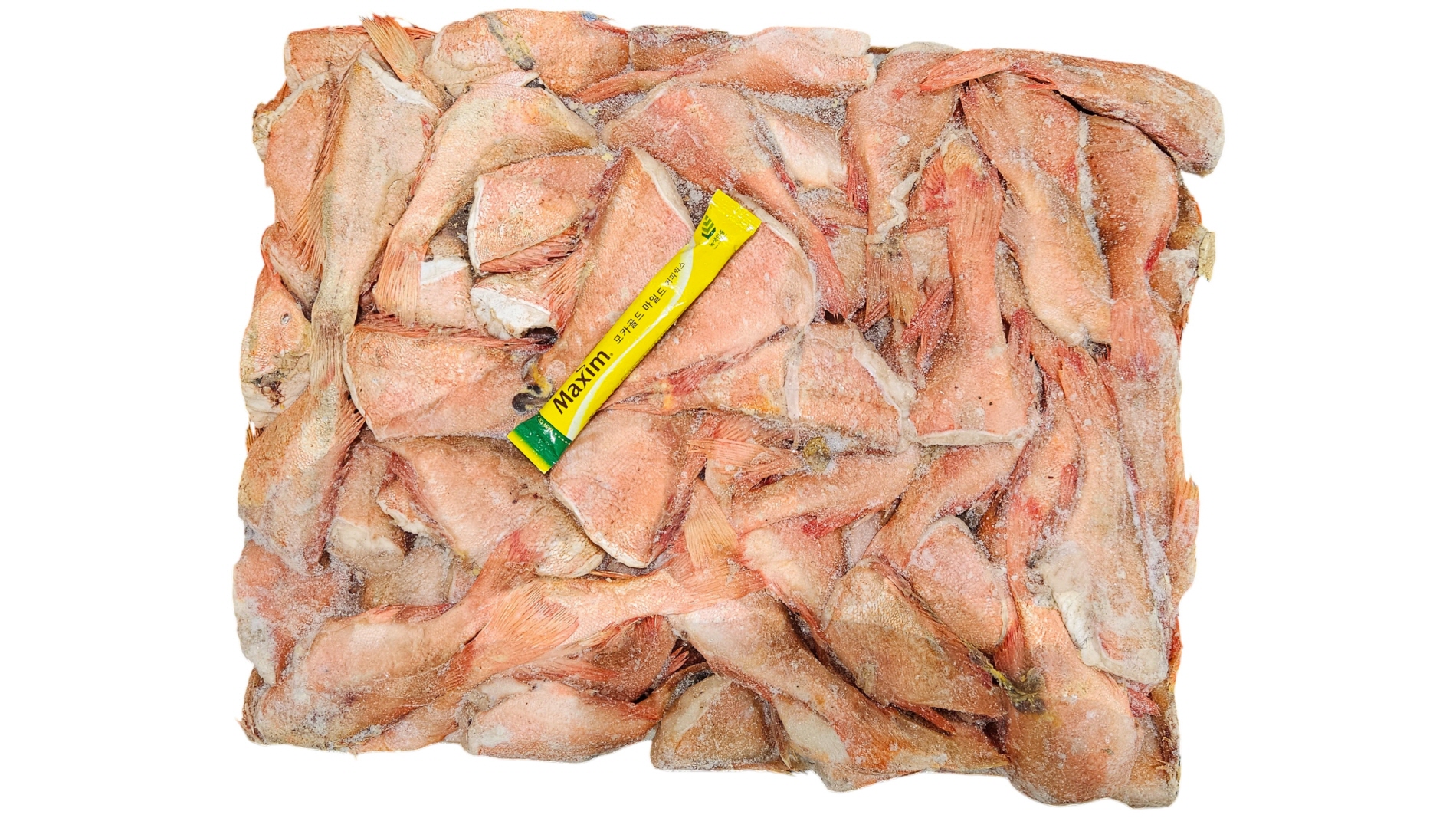 두절 적어 3S(열기, 장문뽈락) 80/100 , 포르투갈