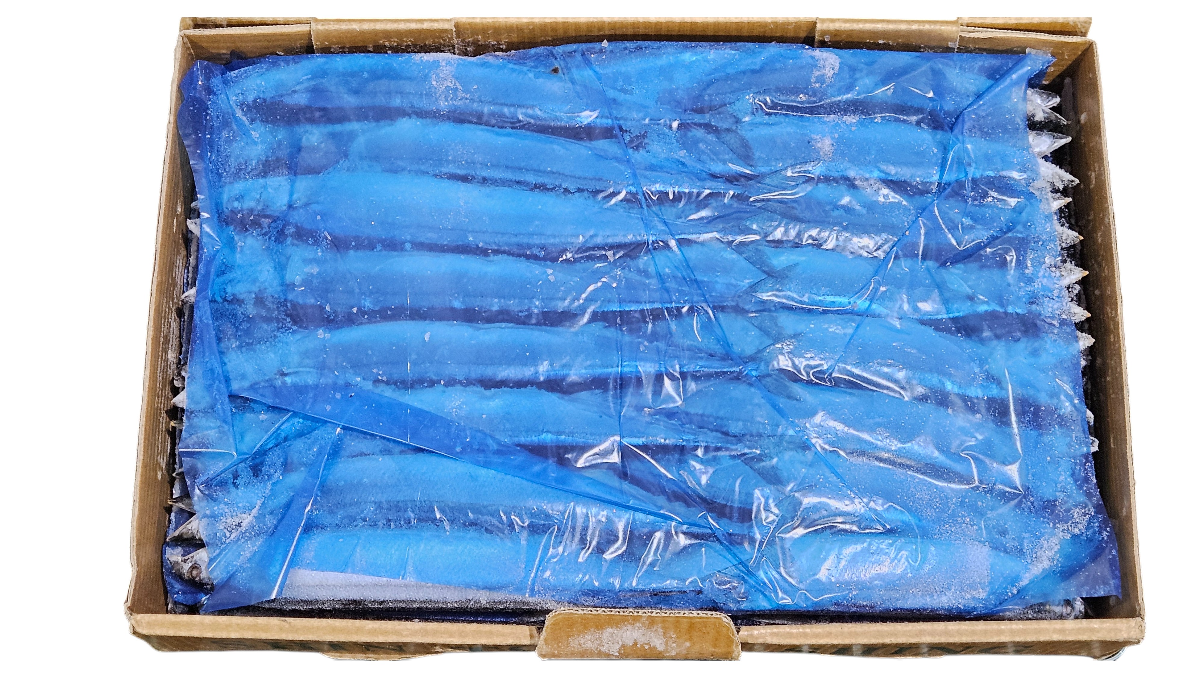 꽁치 1번 (2L) _ 대만