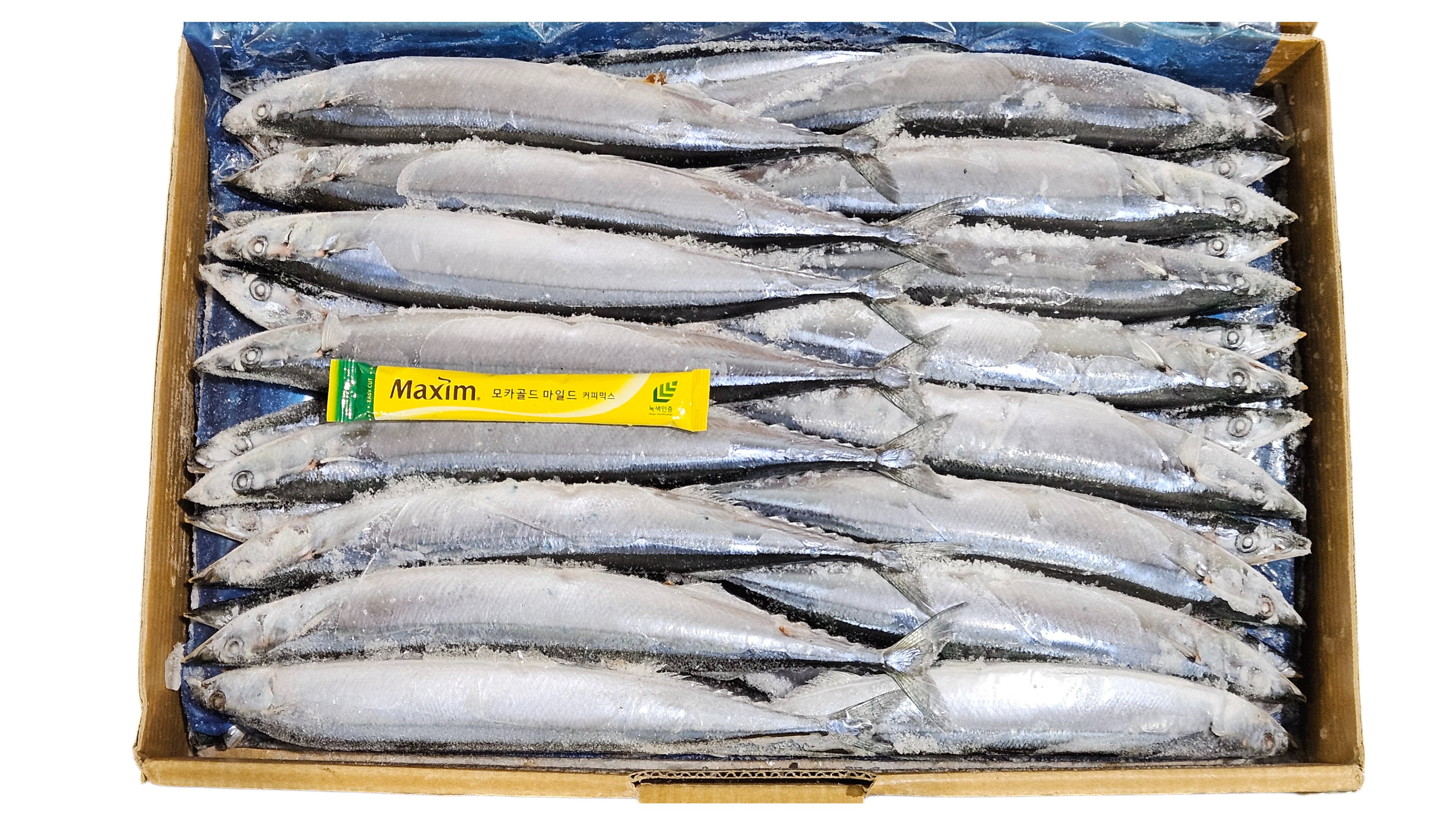 꽁치 1번 (2L) _ 대만