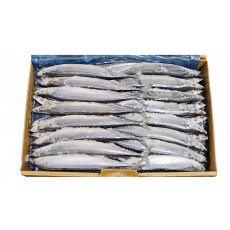 꽁치 1번 (2L) _ 대만