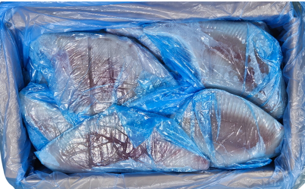 가오리 날개 (탈피) 400/800 _ 미국