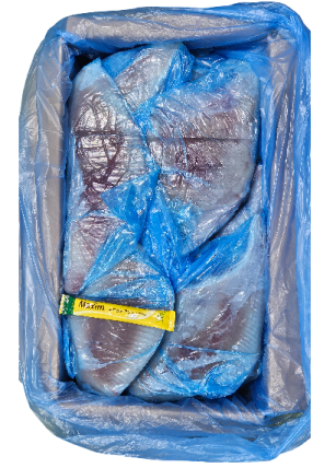 가오리 날개 (탈피) 400/800 _ 미국