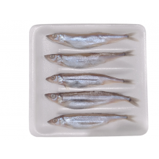 시사모 (4L, 트레이) _ 아이슬란드