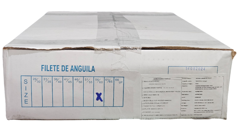 페루장어(바다장어) 56/60 (팬당 16미 내외)