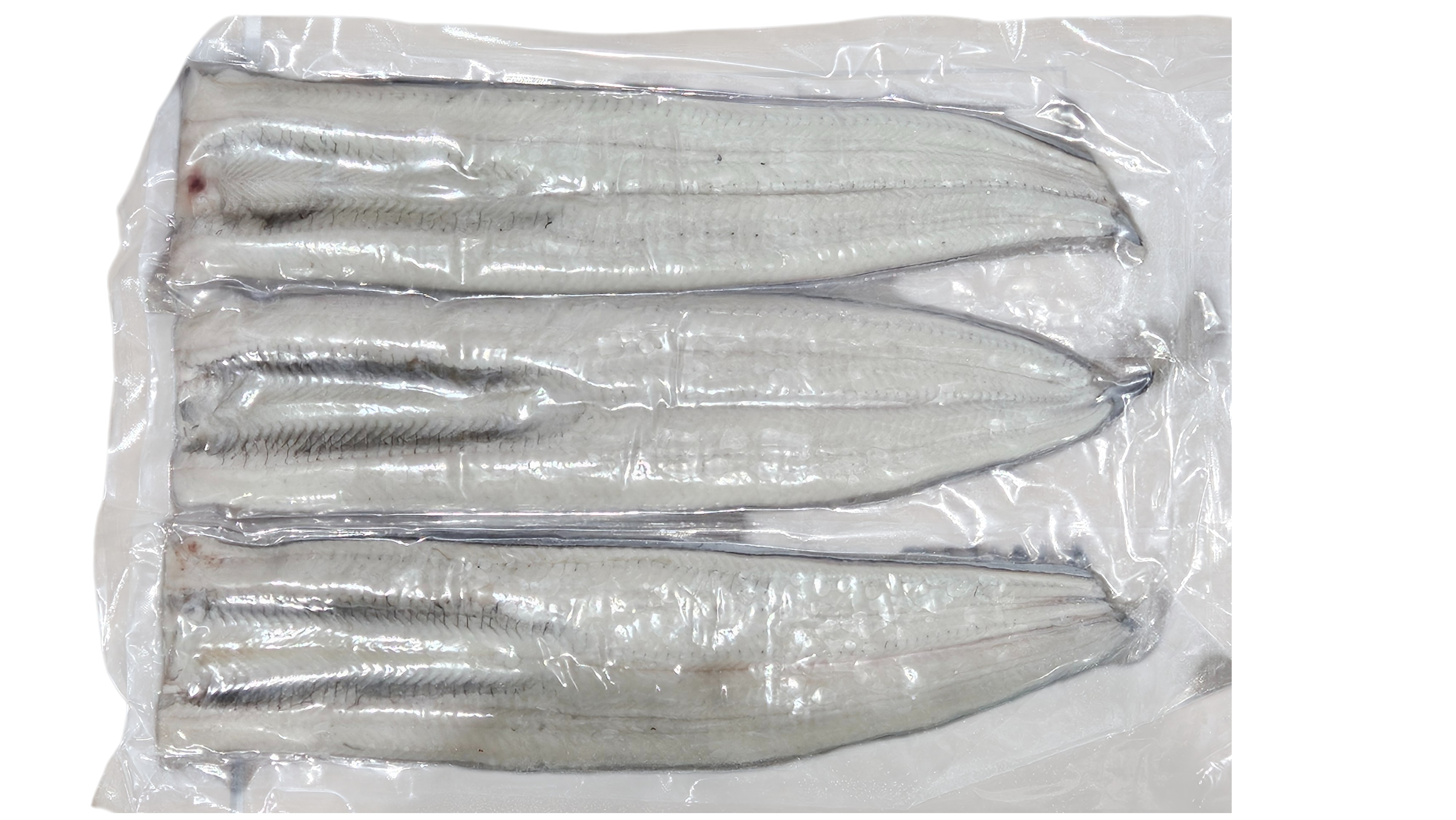 민물장어 필렛 3미 (북아메리카 장어, 중국)