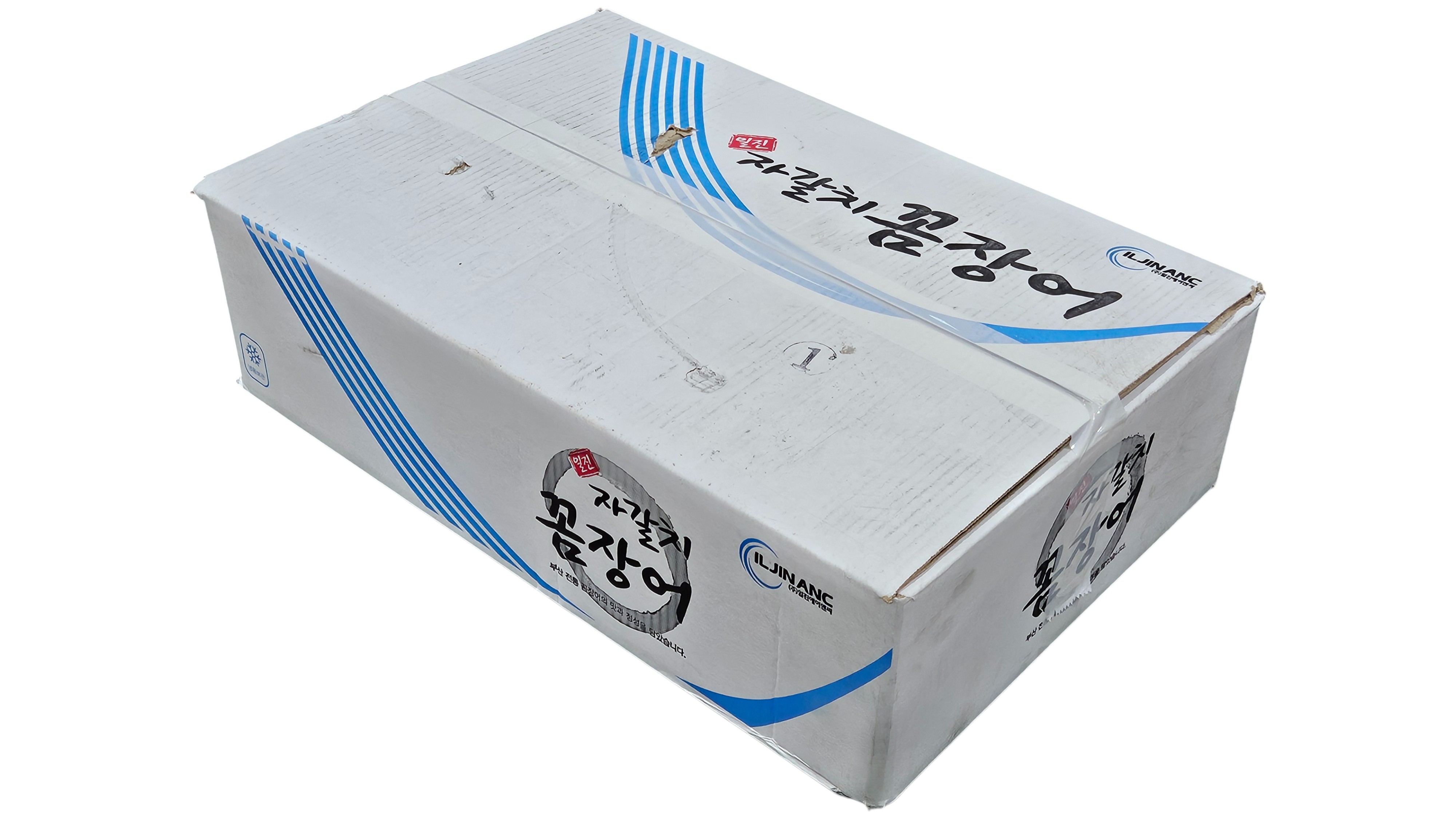 꼼장어, 먹장어 (19kg, 캐나다)