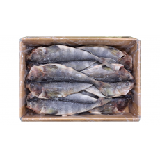 손질임연수(할복, 버터플라이) 11미