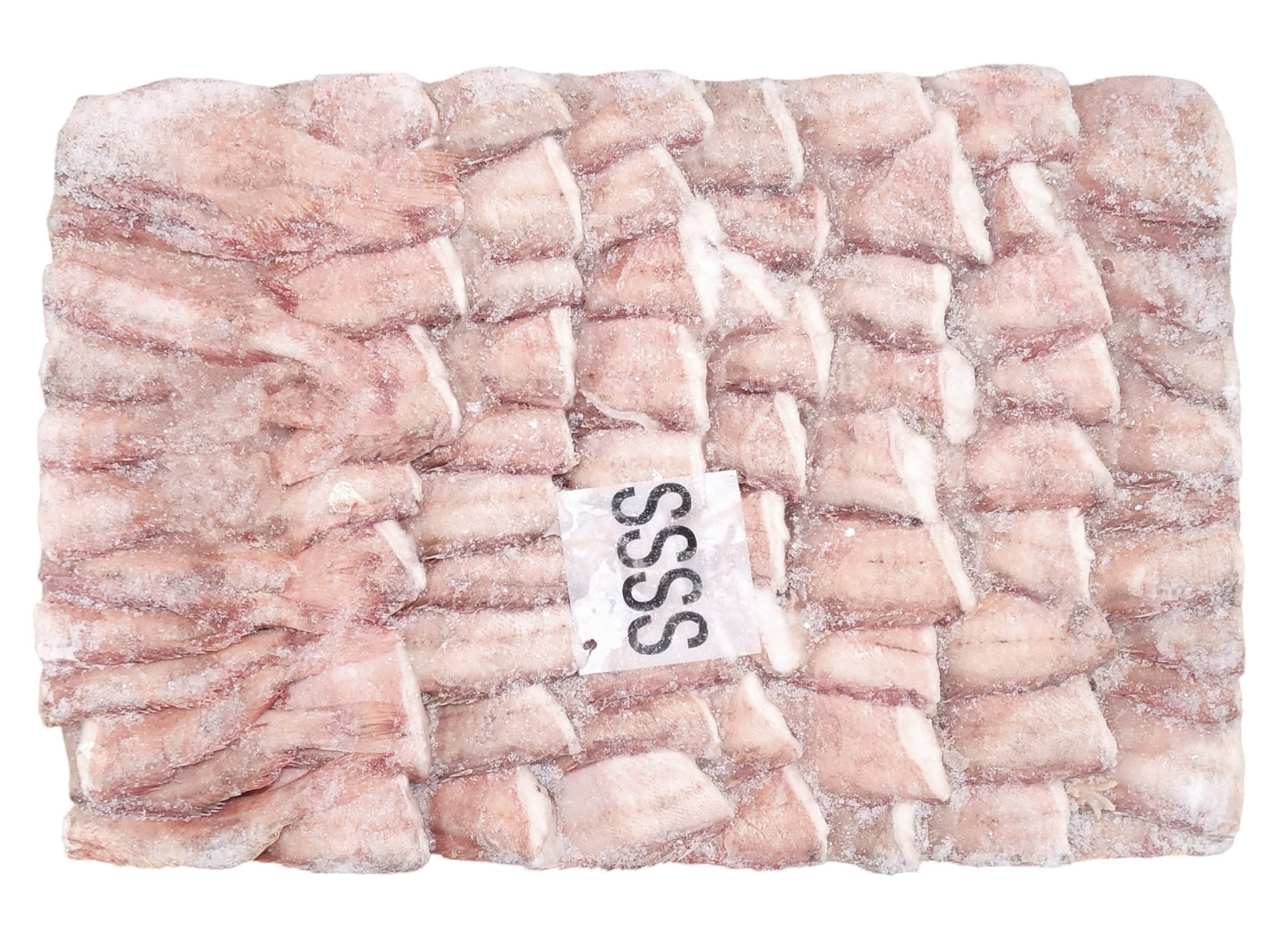 두절 적어 4S(열기, 장문뽈락) 40/80 , 포르투갈