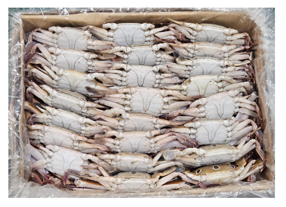 국내산 숫꽃게 (대) 28/32미