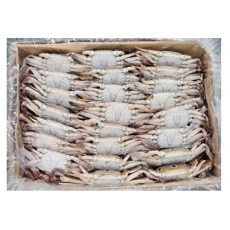 국내산 숫꽃게 (대) 28/32미