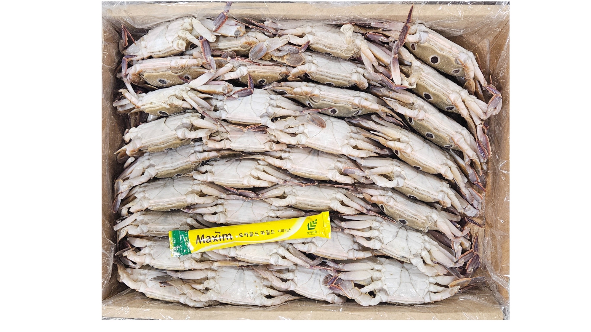 파키스탄 삼점게(숫게) 80/100