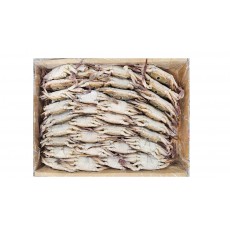 파키스탄 삼점게(숫게) 80/100