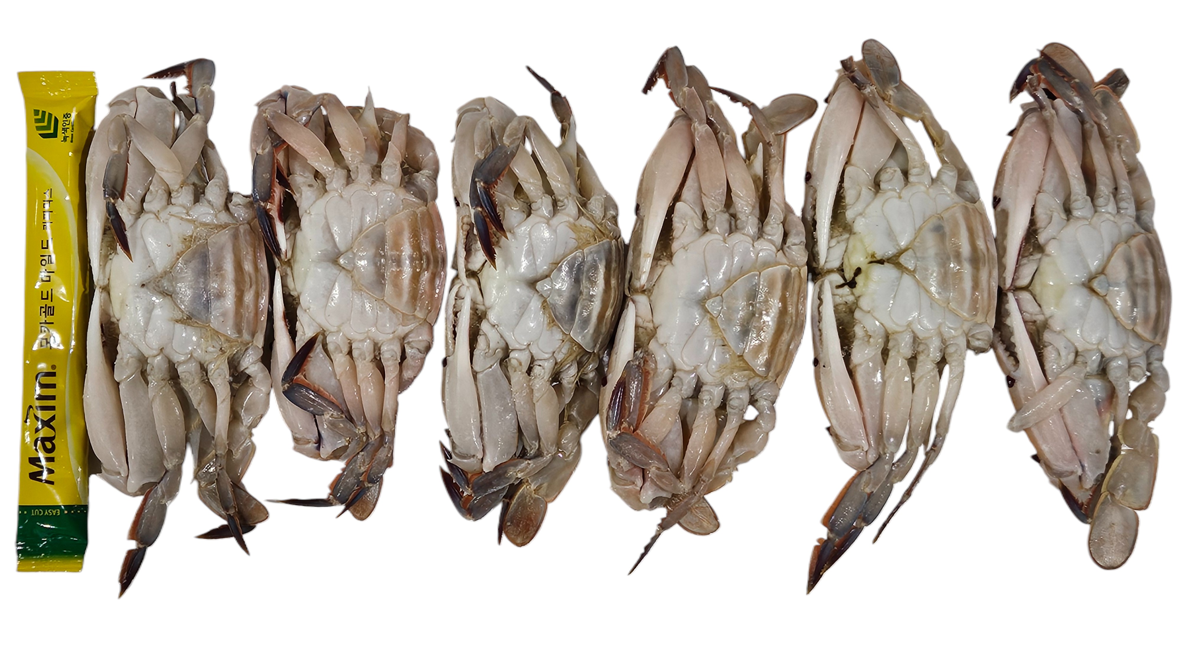 파키스탄 삼점게 (암게) 80/100