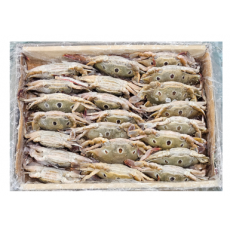 파키스탄 삼점게 (암게) 100/150