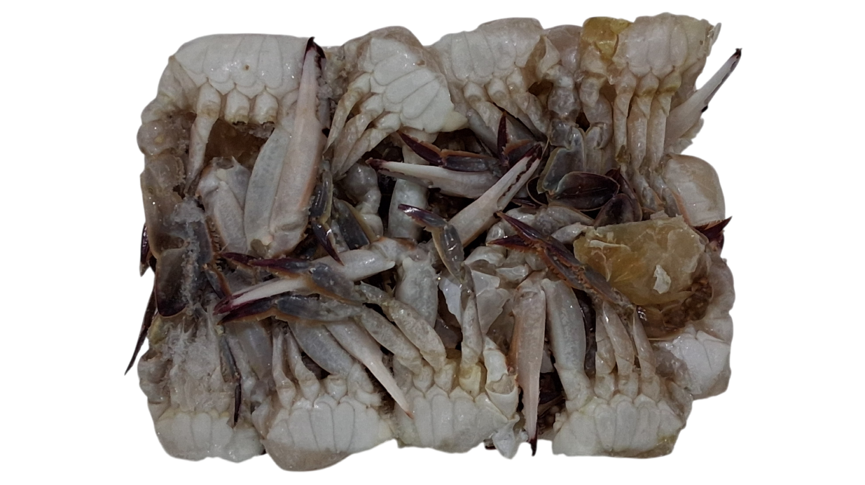 중국산 절단꽃게 M