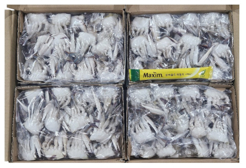 중국산 절단꽃게 S