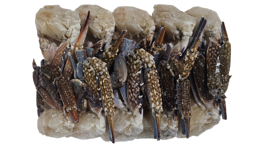 튀니지 절단꽃게 L