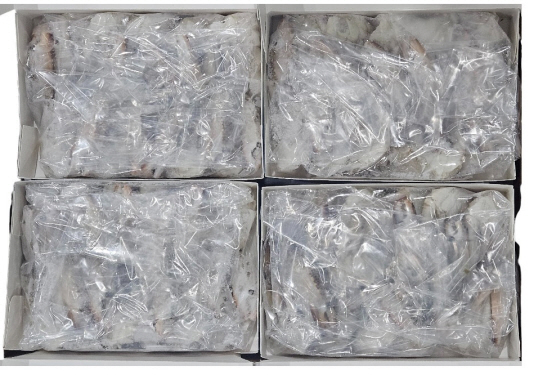 튀니지 절단꽃게 M