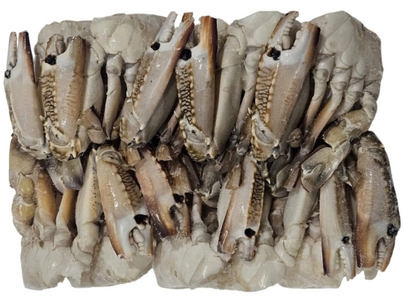 튀니지 절단꽃게 M