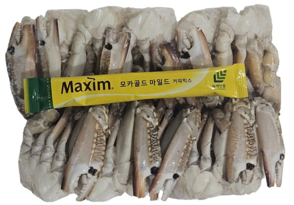 튀니지 절단꽃게 M