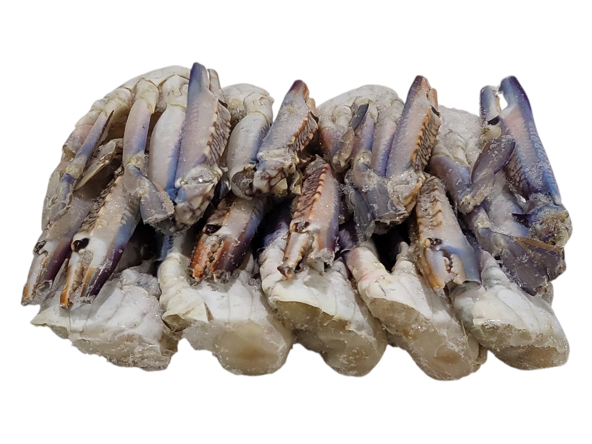 바레인 절단꽃게 L