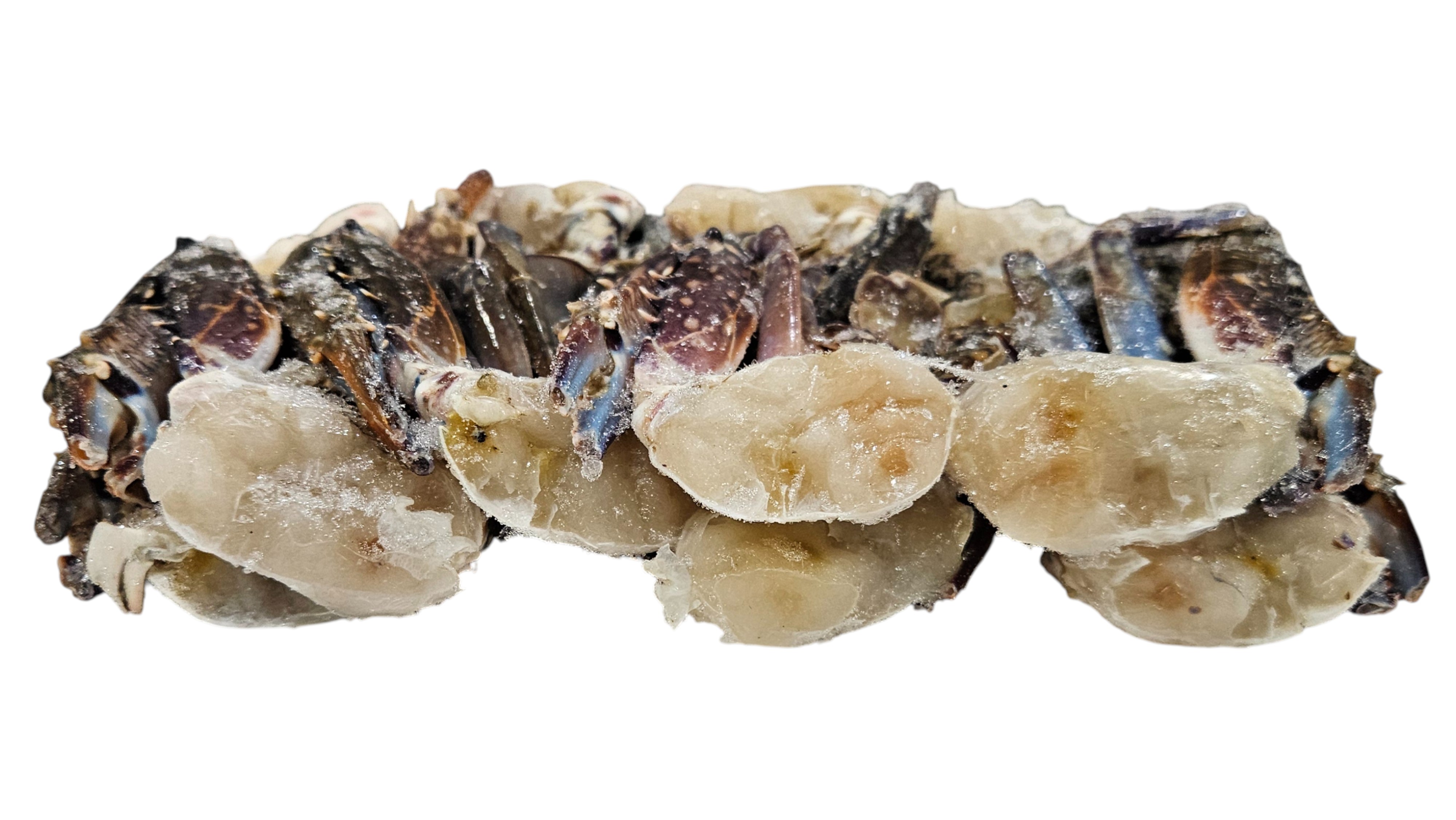 바레인 절단꽃게 S