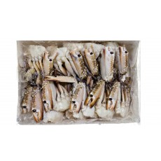 바레인 절단꽃게 2S