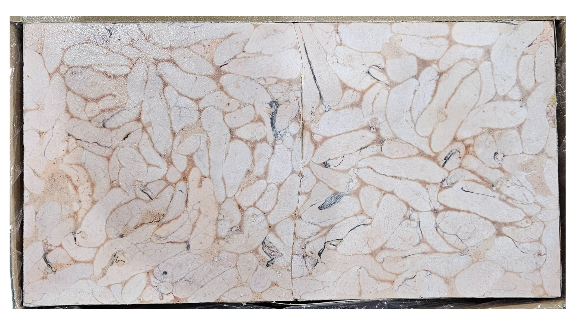 냉동 명란(명태알) PG