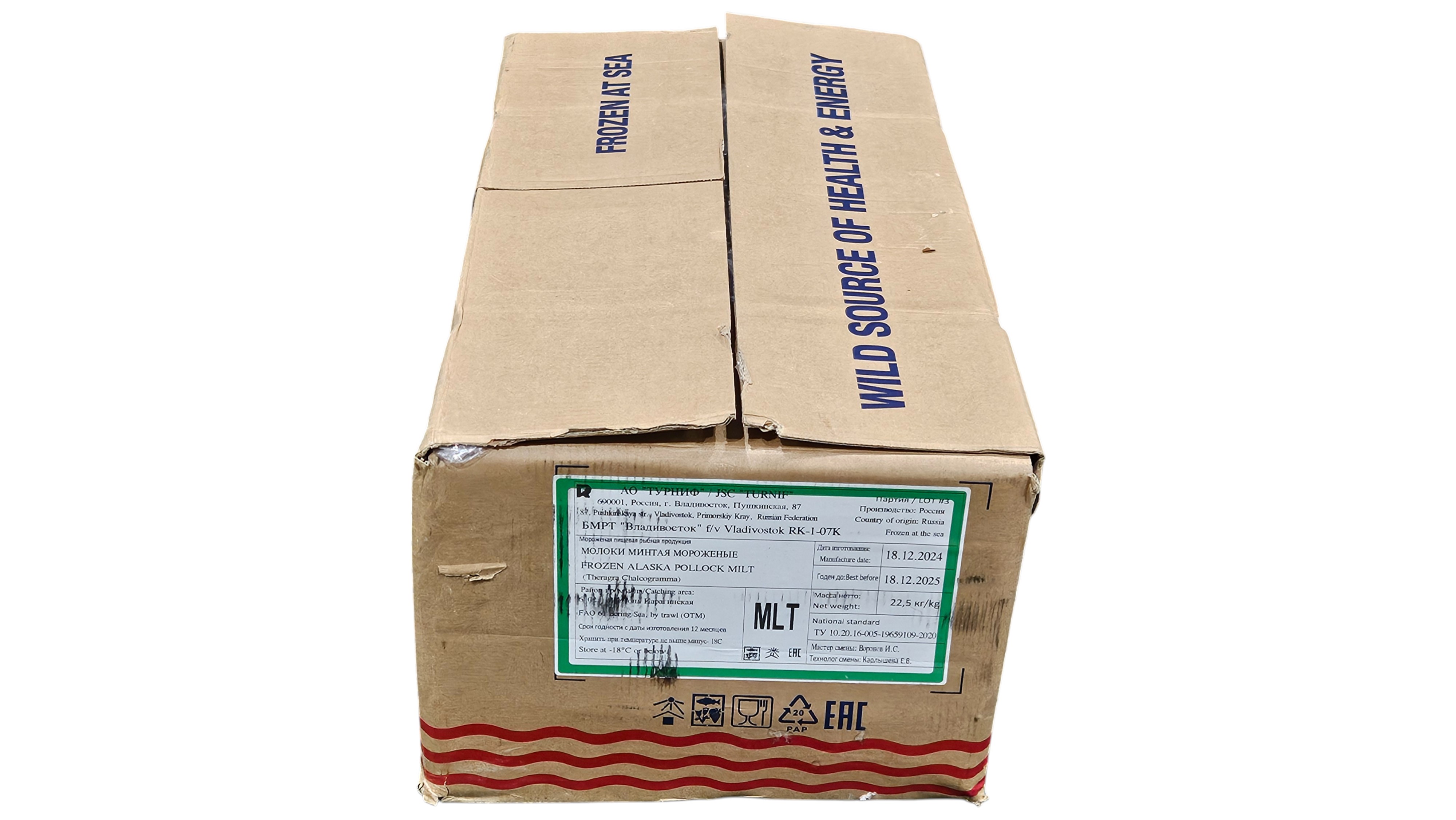 명태곤이 (구물)