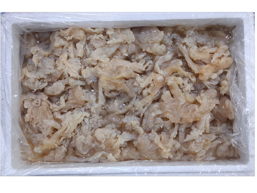 해파리발 (벌크, 7kg, 태국)